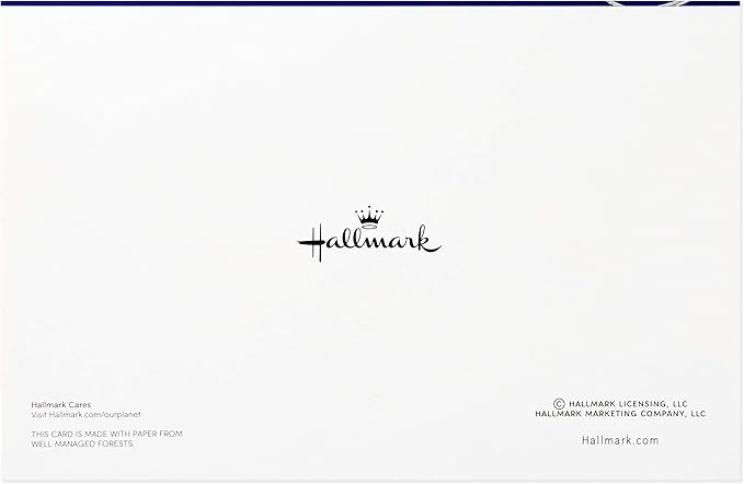 Hallmark Christmas Cards Boxed with Envelopes, Happy Holidays (40 Blue Holiday Cards)