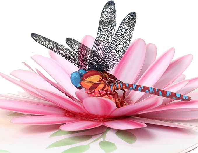 Pop Up Birthday Cards, Dragonfly and Gerbera Daisies Flower 3D Birthday Card for Women, Happy Mother’s Day Card, Valentines Day Card for Mom, Wife, Sister, Wife, Grandma, Daughter, Girlfriends