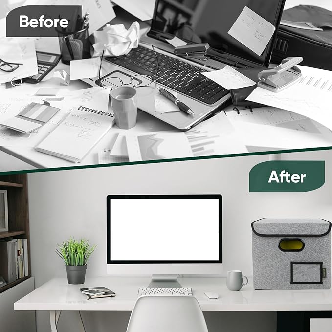 BALEINE File Organizer Box with Lid, Collapsible File Folder Organizer with Plastic Slide, Hanging File Folder Box for Office Document Storage (2 Pack, Grey)