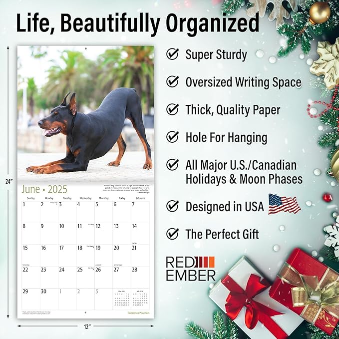 RED EMBER Doberman Pinschers 2025 Wall Calendar 12 Month | 12" x 24" Open | Thick & Sturdy Paper | Giftable | Calendar 2025