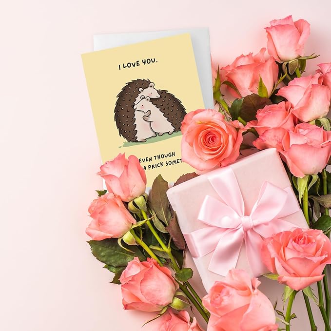 ALY LOU Cute Anniversary Card, Birthday Card for Her Him/Girlfriend Wife/Husband Boyfriend, Friendship Thank You Kawaii Greeting Card (I love you. Even though you’re a prick sometimes.)