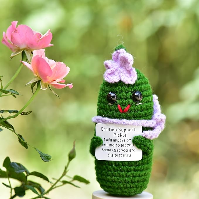 Funny Crochet Pickles 1 Pcs with Affirmations Cards for Inspirational Novelty Good Luck Gifts and Party Decorations(KK-CKD04-ppfw)