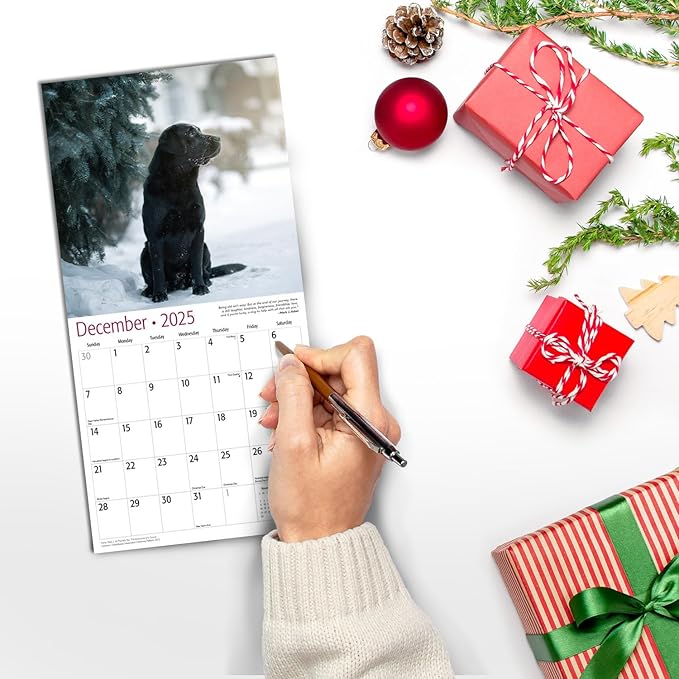 MICASA Black Labs Mini 2025 Wall Calendar 12 Month | 7" x 14" Open | Thick & Sturdy Paper | Giftable | Calendar 2025