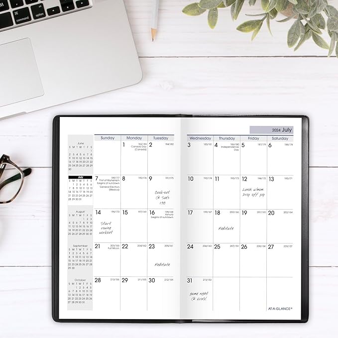 AT-A-GLANCE Planner 2024-2025 Academic, Monthly Pocket Planner, 3-1/2" x 6", Flexible Cover, DayMinder, Black (AY5300)