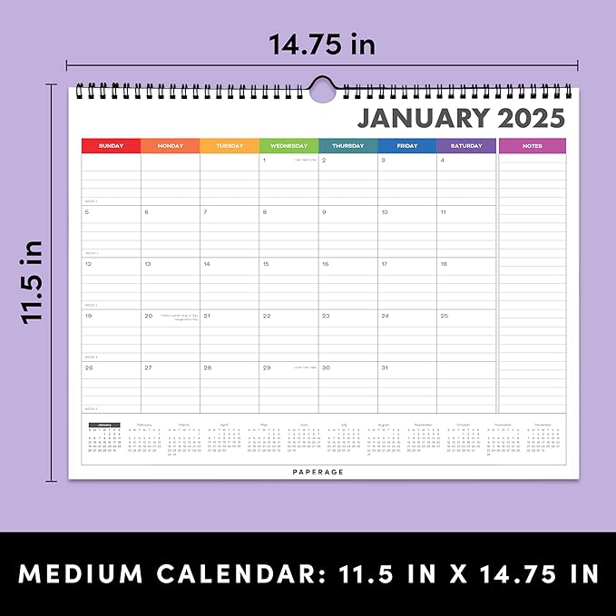 PAPERAGE Calendar 2025-12 Month (Rainbow), Minimalist Wall and Desk Calendar with Monthly Views and Yearly Plans – Medium (11.5 in x 14.75 in)