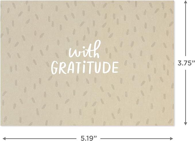 Hallmark Minimalist Thank You Note Card Assortment (48 Blank Cards with Envelopes) Mint Chevron, Blush Polka Dot, Stripes