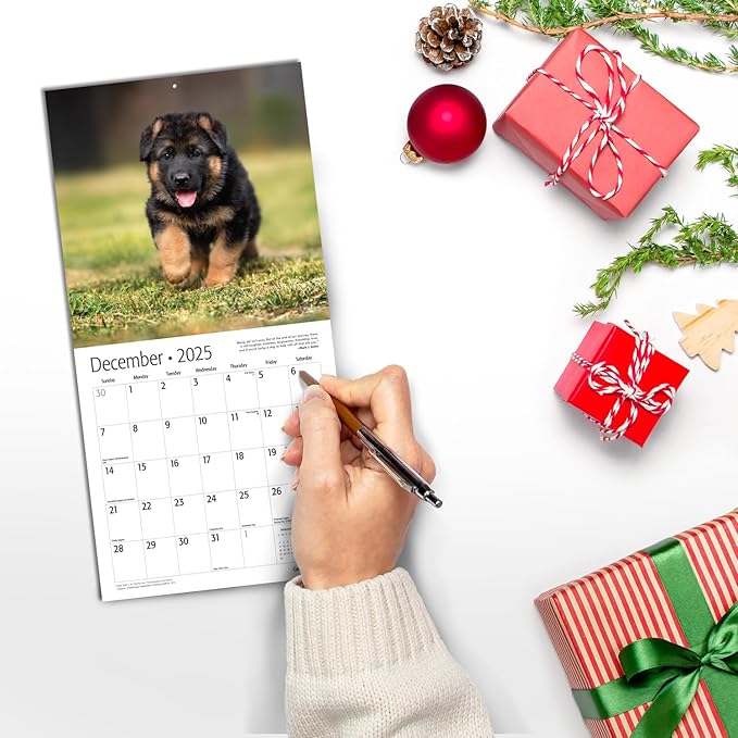 RED EMBER German Shepherd Puppies Mini 2025 Wall Calendar 12 Month | 7" x 14" Open | Thick & Sturdy Paper | Giftable | Calendar 2025