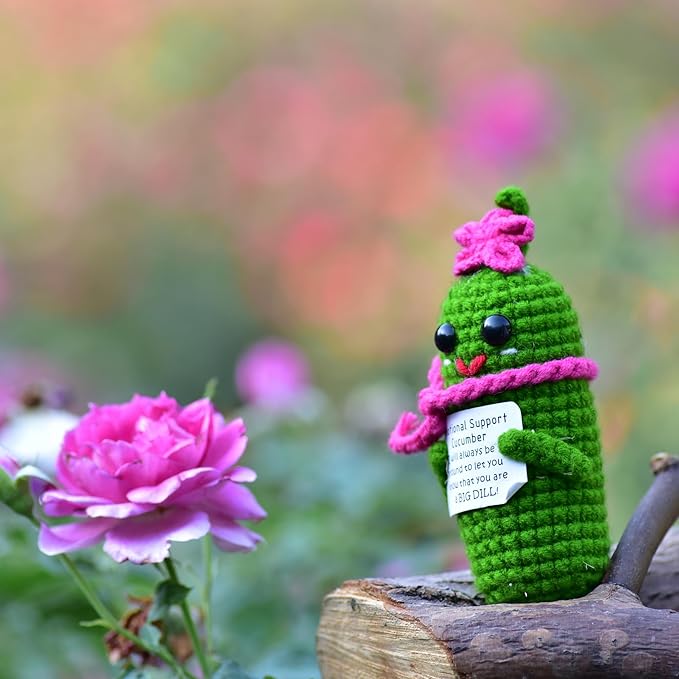 Funny Crochet Pickles 1 Pcs with Affirmations Cards for Inspirational Novelty Good Luck Gift and Party Decorations (KK-CKD04- REDCUM)