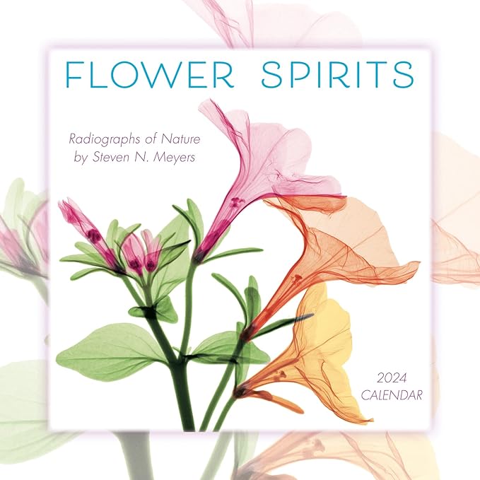 Flower Spirits 2024 Mini Calendar — Radiographs of Nature by Steven N. Meyers, 7" x 7"