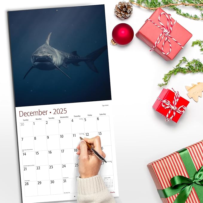 RED EMBER Sharks 2025 Wall Calendar 12 Month | 12" x 24" Open | Thick & Sturdy Paper | Giftable | Calendar 2025
