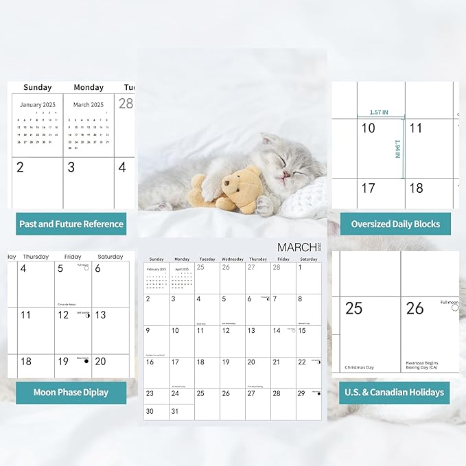 2025 Wall Calendar,Calendar 2025,Kittens Monthly Wall Calendar, 12" x 24" Open,Family Planner Calendar Organizer with baby kittens Images, for Kitty Cat Lovers