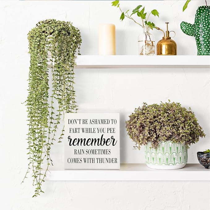 Funny Bathroom Decor Desk Decor Wooden Box Sign Rustic White Wood White Plaque Box Sign for Home Farmhouse Bar Toilet Washroom Shelf Table Decoration Don't be Ashamed to Fart While Peeing Sign