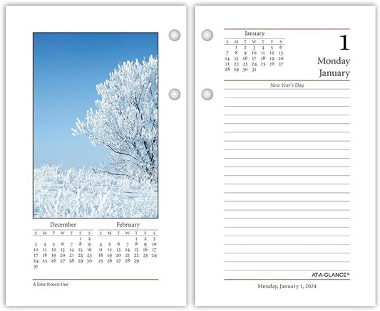 AT-A-GLANCE 2024 Daily Desk Calendar Refill, 3-1/2" x 6", Standard, Loose-Leaf, Photographic (E4175024)