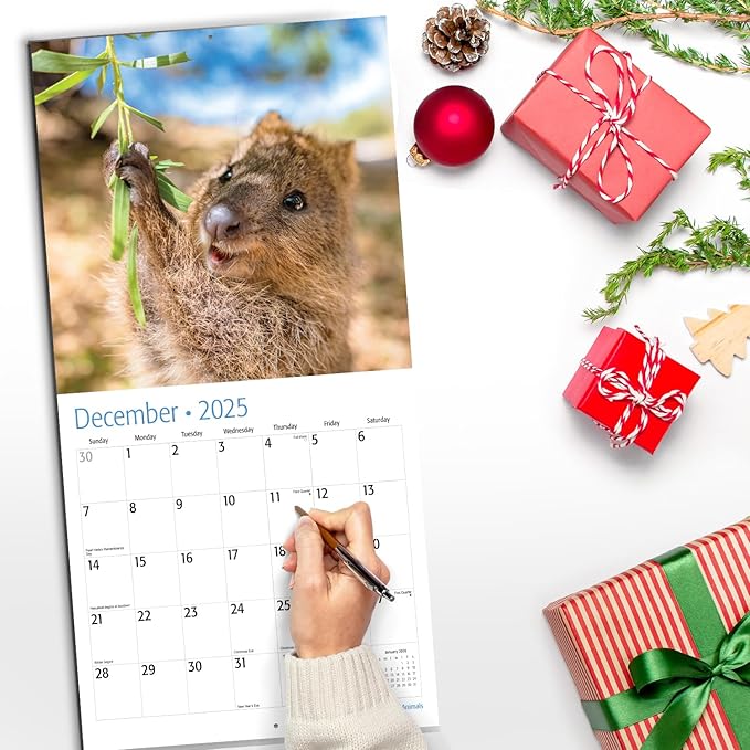 RED EMBER Smiling Animals 2025 Wall Calendar 12 Month | 12" x 24" Open | Thick & Sturdy Paper | Giftable | Calendar 2025