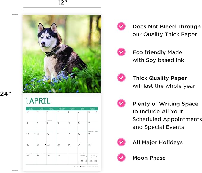 2025 Siberian Huskies Monthly Wall Calendar by Bright Day, Includes Over 300 Stickers, 12 x 12 Inch