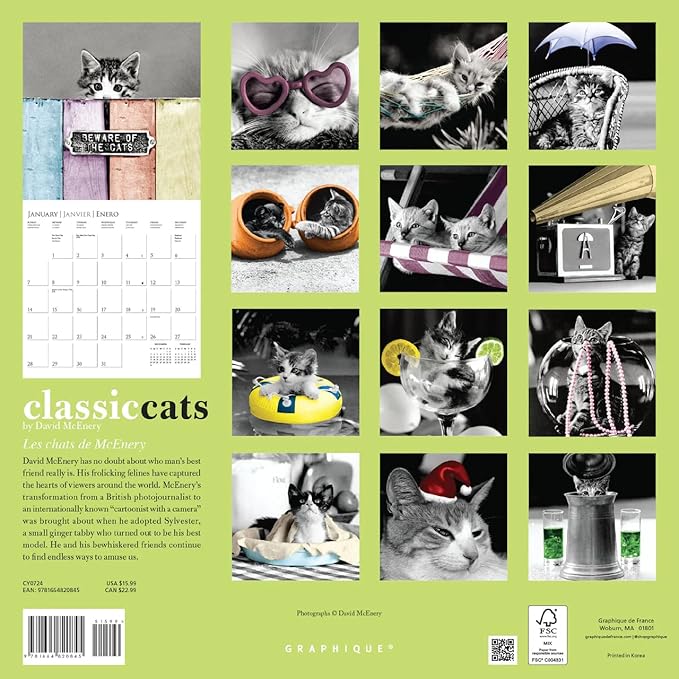Graphique 2024 Classic Cats Wall Calendar | 12” x 12” | Thick Paper | Home & Office Organizer | Large Monthly Grid | 3 Languages & Marked Holidays | 4 Month Preview Page for 2025