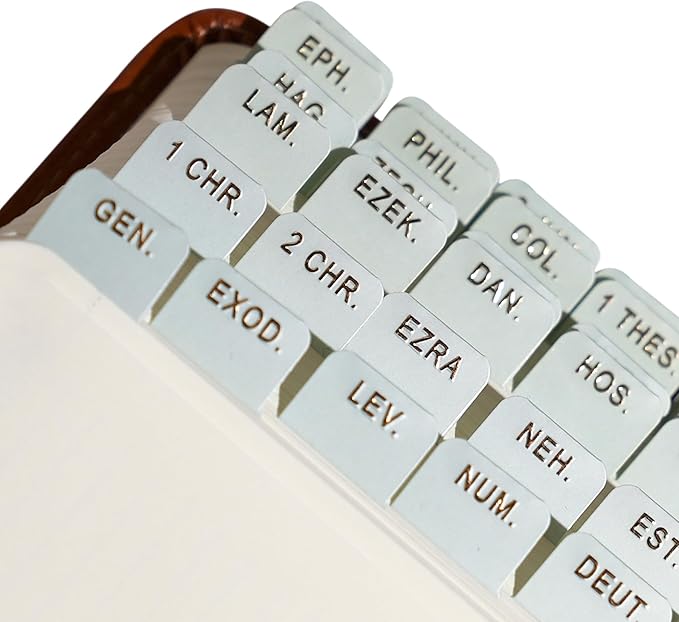 Idyllic Grace - Mini Bible Tabs, Embossed Gold Foil, Journaling, Small Bibles, Study Tool, 90 Tabs, Old and New Testament, Christian, Catholic, Apocrypha, Index Tabs, Matte Laminated - Olive Branch