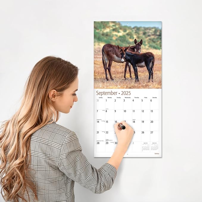 RED EMBER Donkeys 2025 Wall Calendar 12 Month | 12" x 24" Open | Thick & Sturdy Paper | Giftable | Calendar 2025