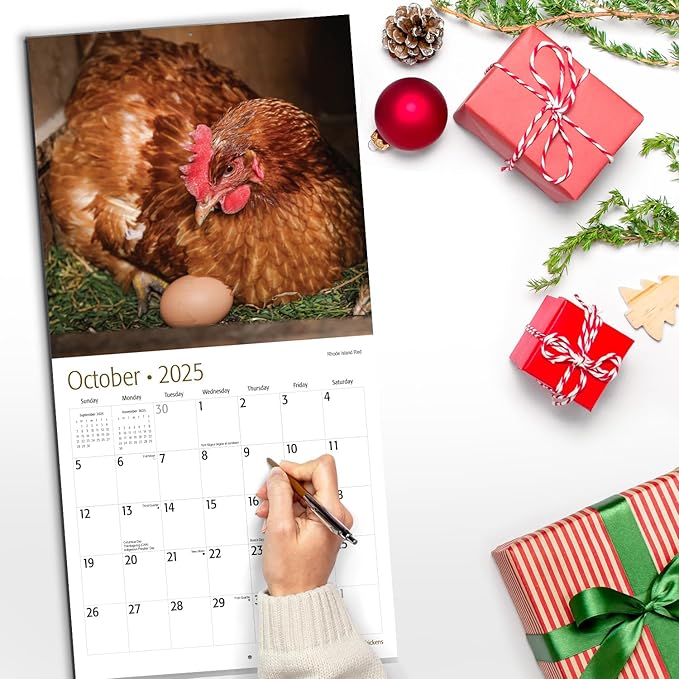 RED EMBER Chickens 2025 Wall Calendar 12 Month | 12" x 24" Open | Thick & Sturdy Paper | Giftable | Calendar 2025