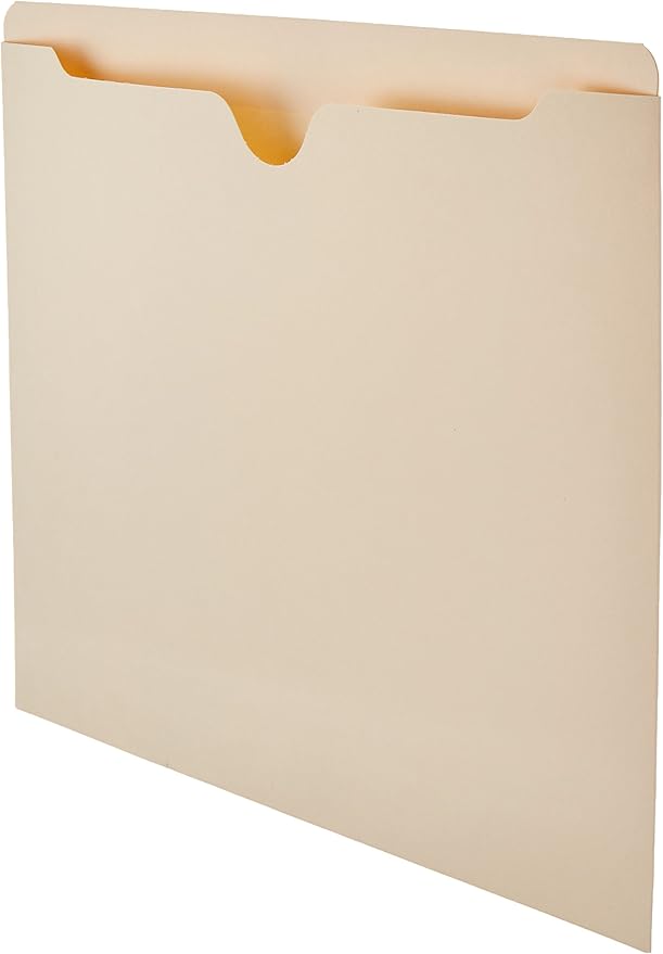 Amazon Basics File Folders Jacket, Reinforced Straight-Cut Tab, Flat-No Expansion, Letter Size, Manila, 100-Pack - AMZ600