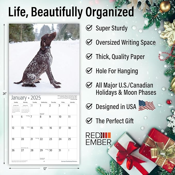 RED EMBER Select - German Shorthaired Pointers 2025 Wall Calendar 12 Month | 12" x 24" Open | Thick & Sturdy Paper | Giftable | Calendar 2025