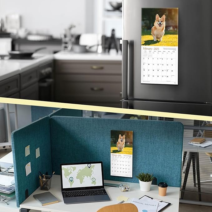 MICASA Corgis Mini 2025 Wall Calendar 12 Month | 7" x 14" Open | Thick & Sturdy Paper | Giftable | Calendar 2025
