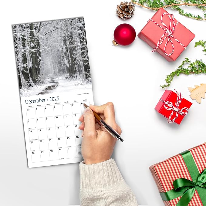 RED EMBER Tree Pathways Mini 2025 Wall Calendar 12 Month | 7" x 14" Open | Thick & Sturdy Paper | Giftable | Calendar 2025