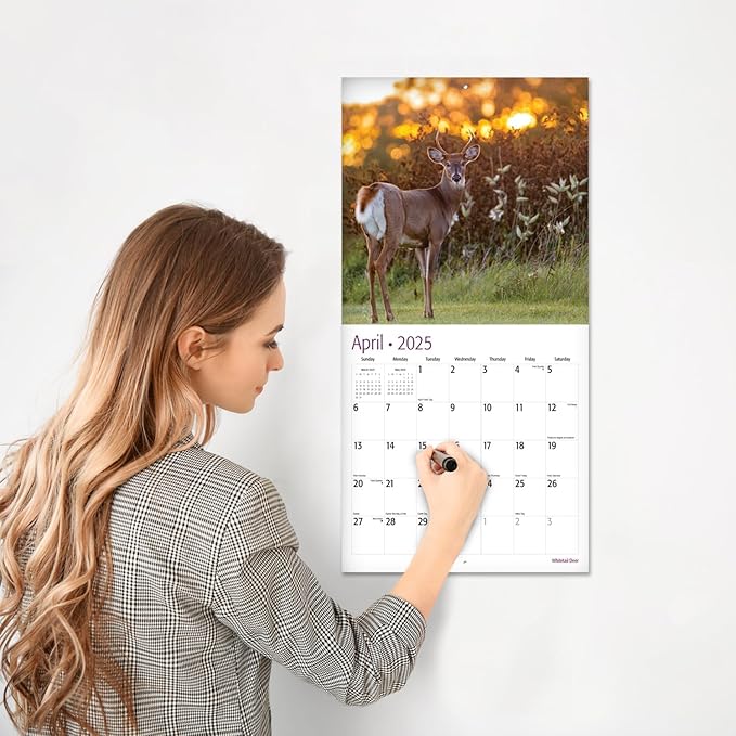 RED EMBER Whitetail Deer 2025 Wall Calendar 12 Month | 12" x 24" Open | Thick & Sturdy Paper | Giftable | Calendar 2025