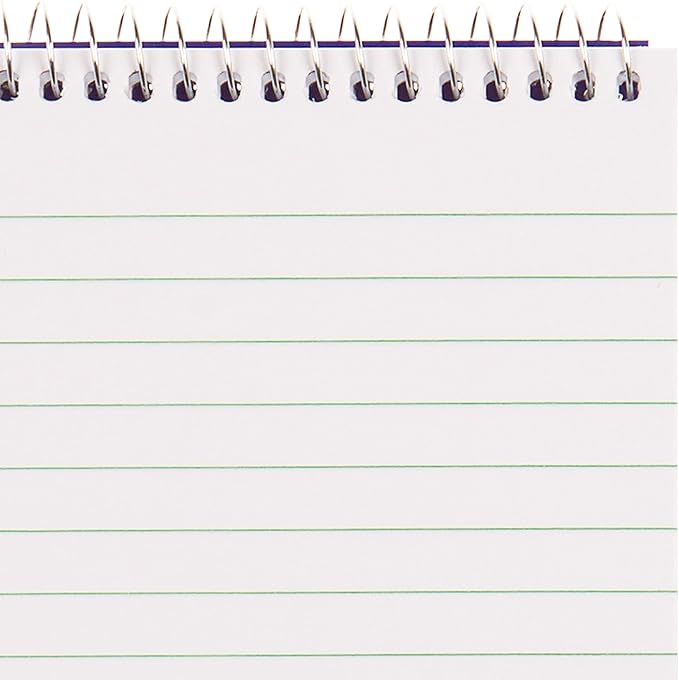 Blueline Reporter Notebook / Note Pad, 4 x 8 inches, 160 Pages / 80 Sheets (AT8B)