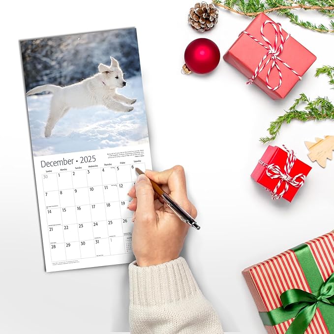 RED EMBER Golden Retriever Puppies Mini 2025 Wall Calendar 12 Month | 7" x 14" Open | Thick & Sturdy Paper | Giftable | Calendar 2025