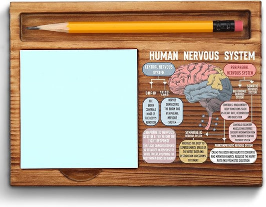 vizuzi The Human Nervous System Brain Sticky Note Holder, Fight or Flight Response CBT DBT EMDR Psychologist School Counselor Therapy Office Decor Self-Stick Note Pad Holders ZSS48