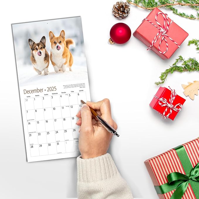 MICASA Corgis Mini 2025 Wall Calendar 12 Month | 7" x 14" Open | Thick & Sturdy Paper | Giftable | Calendar 2025