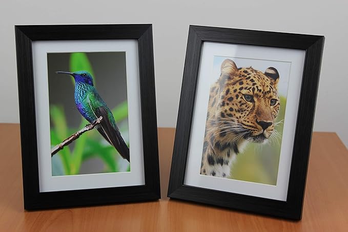 PPD Glossy Photo Paper for Inkjet Printer, 4 x 6" Premium Quality Printable Sheets for Custom Picture, Professional Photographic Instant Dry For with Normal, Dye or Pigment Ink (100 Pack/255 gsm)