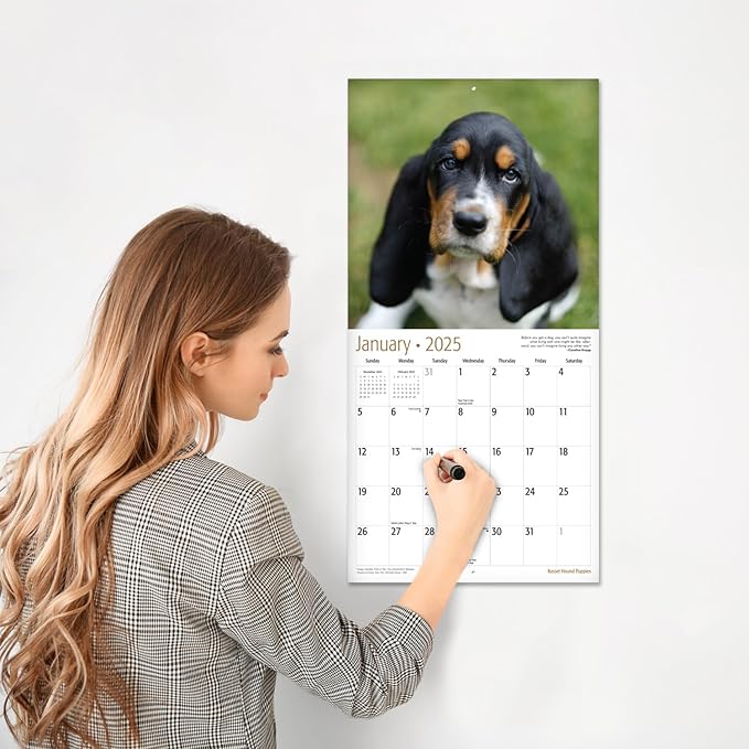 RED EMBER Basset Hound Puppies 2025 Wall Calendar 12 Month | 12" x 24" Open | Thick & Sturdy Paper | Giftable | Calendar 2025