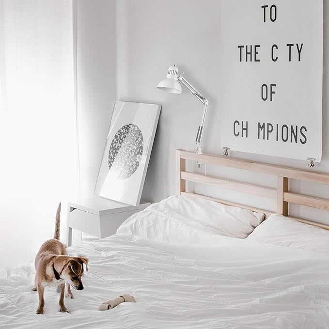 Globe Electric 52847 31.5 Inch Swing Arm Clamp-On White Desk Lamp with Nickel Accents, On/Off Rotary Switch, Book Reading Light, Home Essentials, Office Décor, LED Bulb Compatible