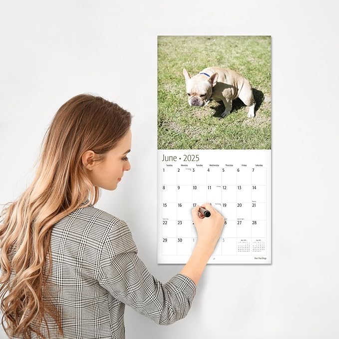 RED EMBER Select - Poo Poo Dogs 2025 Wall Calendar 12 Month Funny Secret Dirty Santa White Elephant Yankee Swap | 12" x 24" Open | Thick & Sturdy Paper | Giftable | Calendar 2025