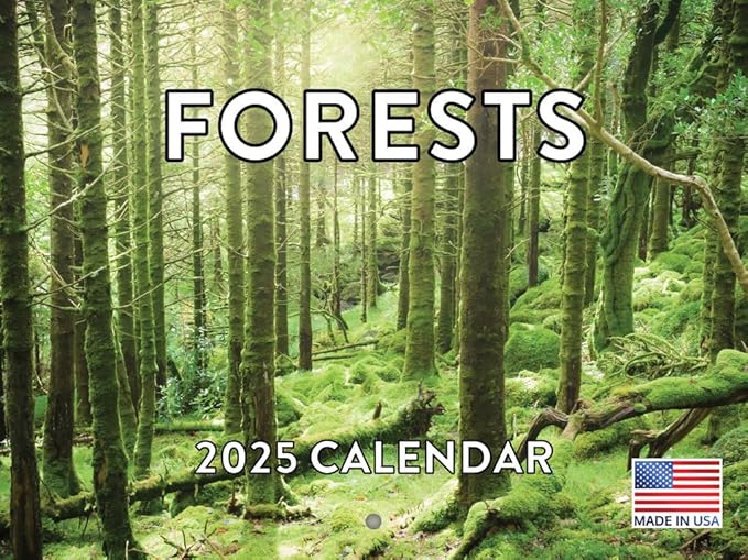 Forest Tree 2025 Wall Calendar