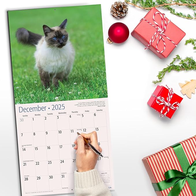 RED EMBER Siamese Cats 2025 Wall Calendar 12 Month | 12" x 24" Open | Thick & Sturdy Paper | Giftable | Calendar 2025