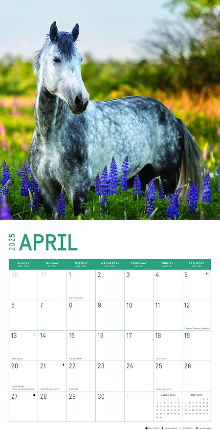 2025 Horses Monthly Wall Calendar by Bright Day, Includes Over 300 Stickers, 12 x 12 Inch