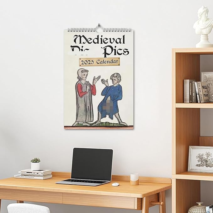 Medieval Pics 2025 Calendar, Medieval Pics Calendar, Funny Medieval Pics Calendar With Illustrations, Prank Medieval Wall Calendar, For History Enthusiasts Gift