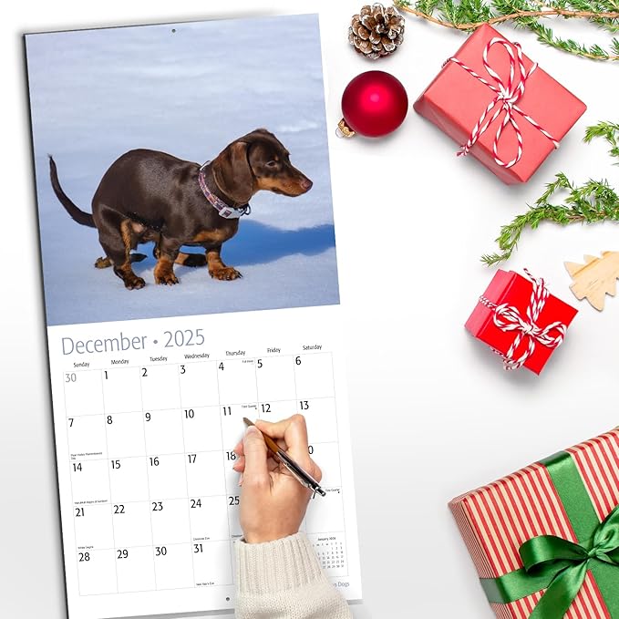 RED EMBER Select - Poo Poo Dogs 2025 Wall Calendar 12 Month Funny Secret Dirty Santa White Elephant Yankee Swap | 12" x 24" Open | Thick & Sturdy Paper | Giftable | Calendar 2025