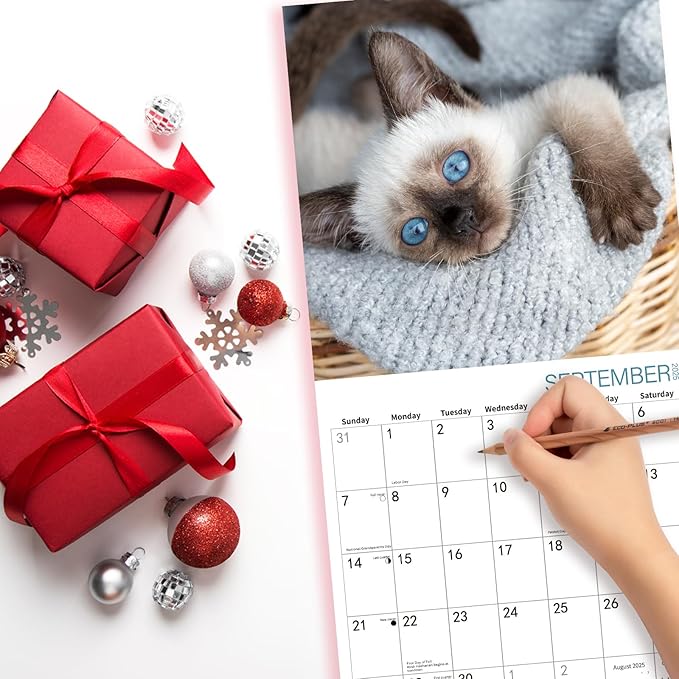 2025 Wall Calendar,Calendar 2025,Kittens Monthly Wall Calendar, 12" x 24" Open,Family Planner Calendar Jul.2024 - Dec.2025 Organizer with Cute kittens Images, for Kitty Cats Lovers