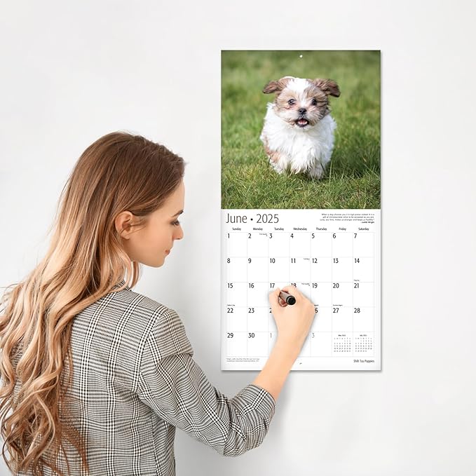 RED EMBER Shih Tzu Puppies 2025 Wall Calendar 12 Month | 12" x 24" Open | Thick & Sturdy Paper | Giftable | Calendar 2025
