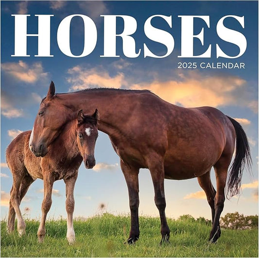 TF PUBLISHING 2025 Horses Wall Calendar - Large Grids for Appointments and Scheduling - Vertical Monthly Wall Calendar 2025 - Home and Office Organization - Premium Gloss Paper - 12"x12”