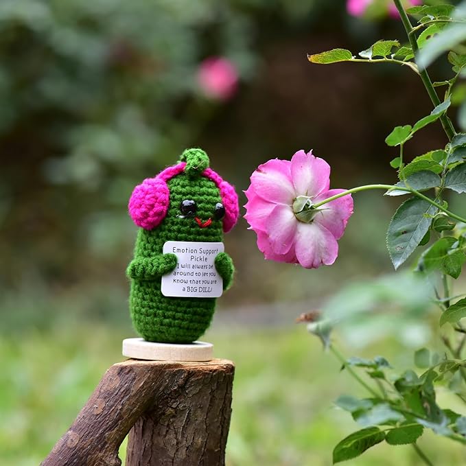 Funny Crochet Pickles 1 Pcs with Affirmations Cards for Inspirational Novelty Good Luck Gifts and Party Decorations(KK-CKD04-ppep)