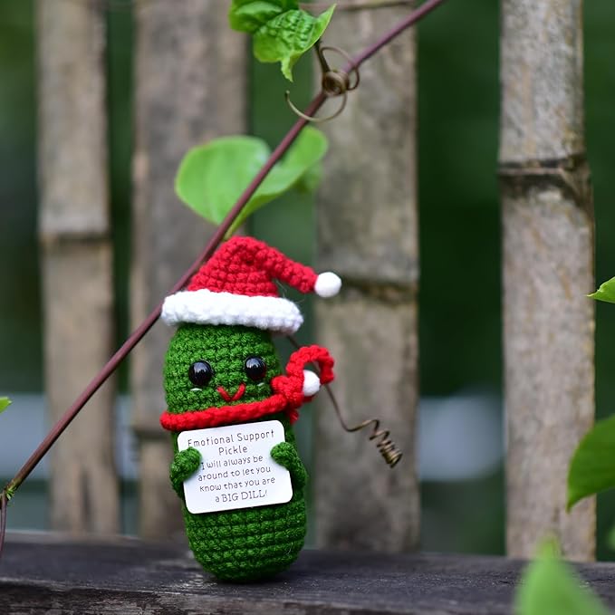 Funn Crochet Pickles 1 Pcs with Affirmations Cards for Inspirational Novelty Good Luck Gifts and Party Decorations (KK-CKD04-PICKLE-UN)