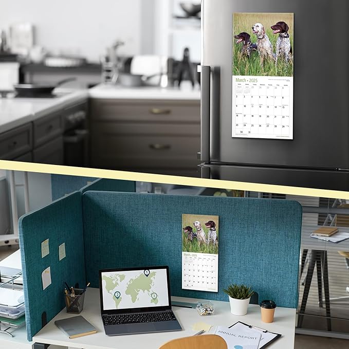 RED EMBER German Shorthaired Pointers Mini 2025 Wall Calendar 12 Month | 7" x 14" Open | Thick & Sturdy Paper | Giftable | Calendar 2025