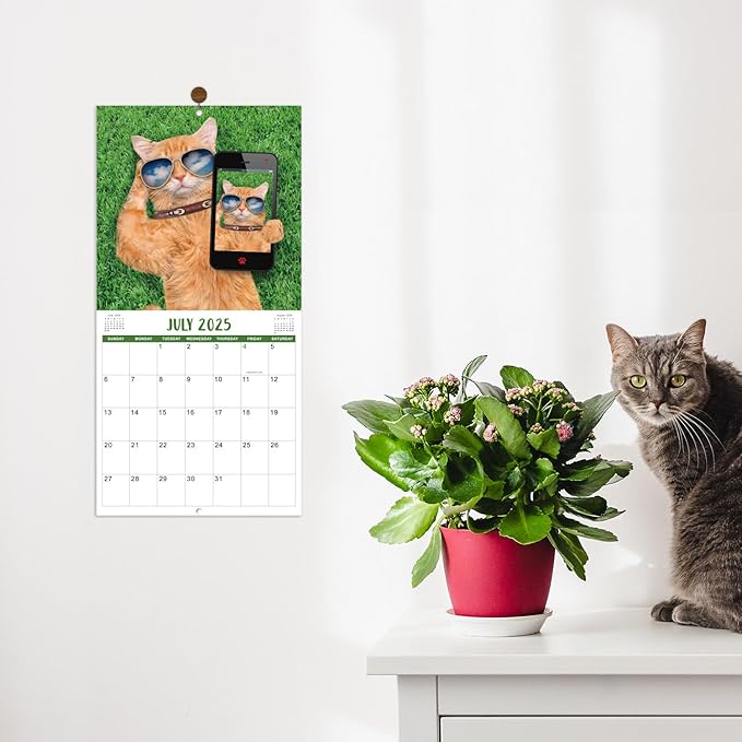 2025 Wall Calendar - January 2025 - December 2025, Funny Cat Calendar 2025, Wall Calendar Gag Gift, Funny Cat Memes Pics, 12'' x 24'' (Open), Funny Cat Calendar, Unruled Block, Hanging Hole, Holidays