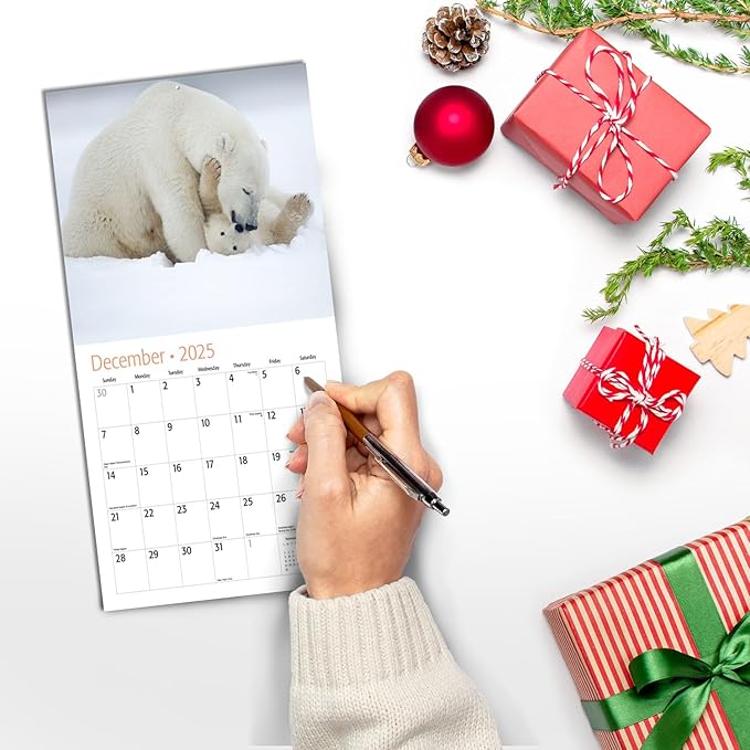 MICASA Baby Animals Mini 2025 Wall Calendar 12 Month | 7" x 14" Open | Thick & Sturdy Paper | Giftable | Calendar 2025