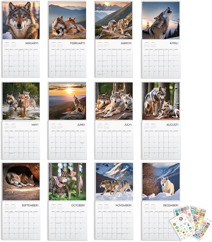 Wolf Calendar 2025 and Sticker Pack, Large 12 x 12 inch, Wolf Wall Calendar with Sticker Set, Gift for Wolf Lovers, Cute Calendar for girls or boys